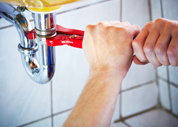 About Felicity Plumbers